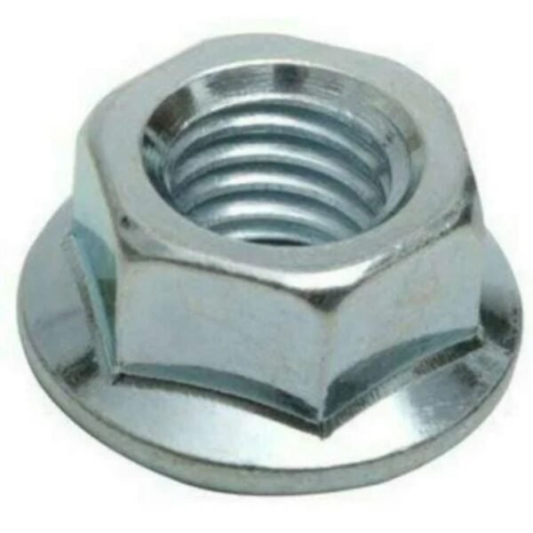 Mild Steel Hex Flange Nut